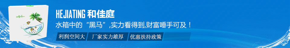 和佳庭水箱中的“黑馬”，實力看得到，財富唾手可及！